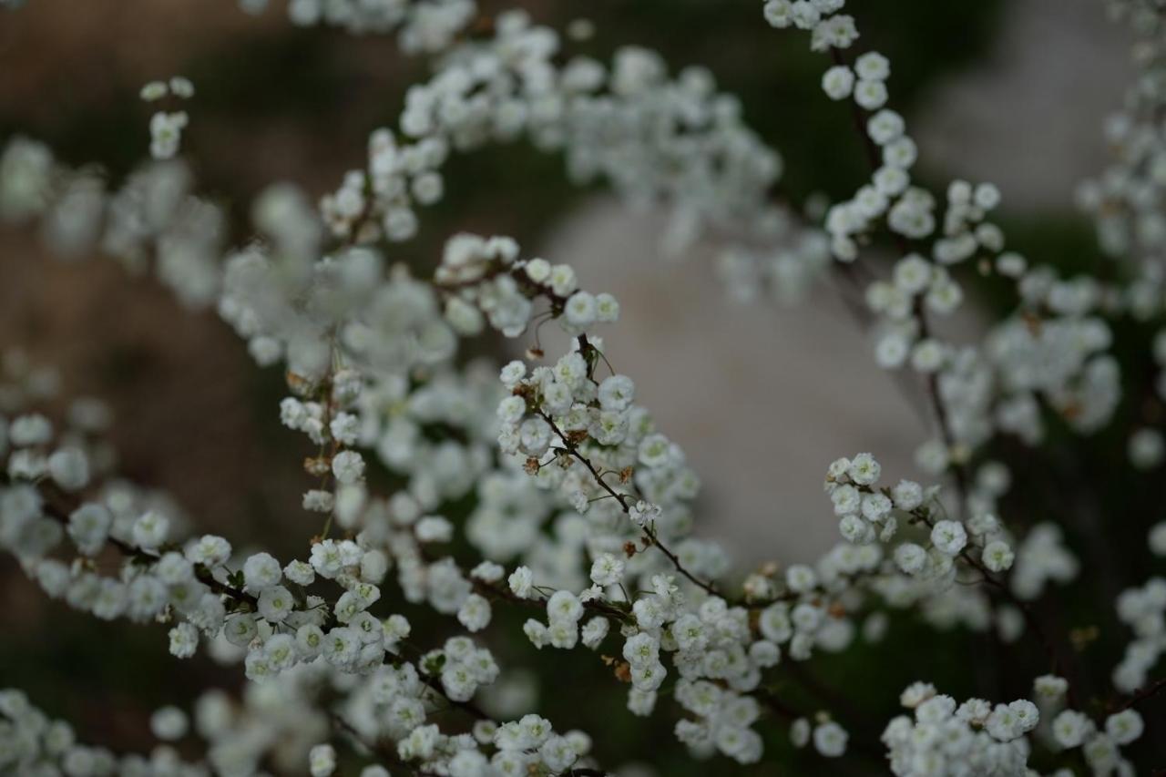 Apiflore Garéoult Kültér fotó